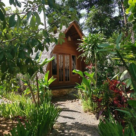Coconut Tree Cottages Batukaras Εξωτερικό φωτογραφία
