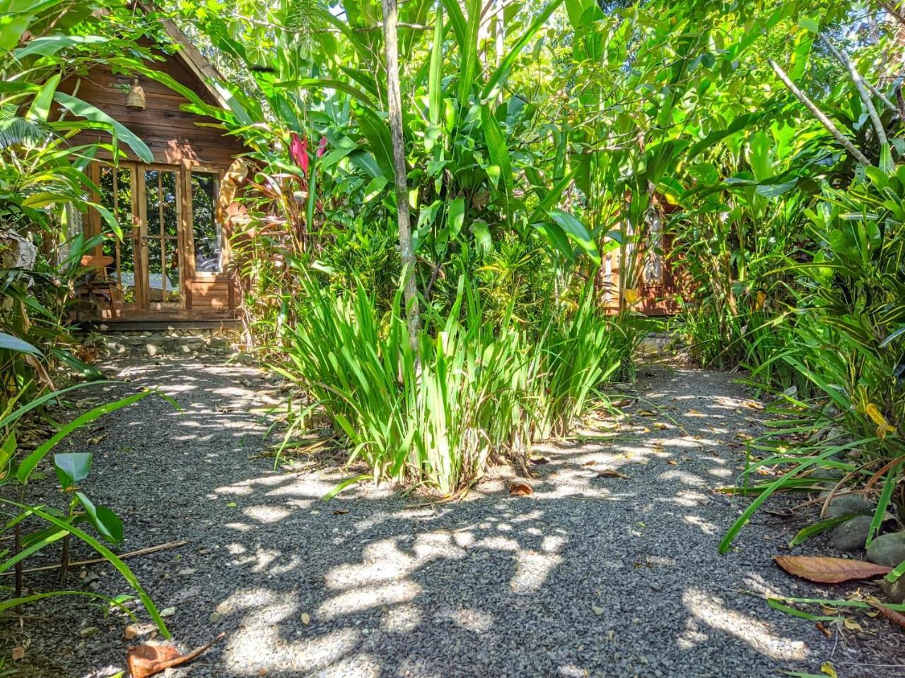 Coconut Tree Cottages Batukaras Εξωτερικό φωτογραφία